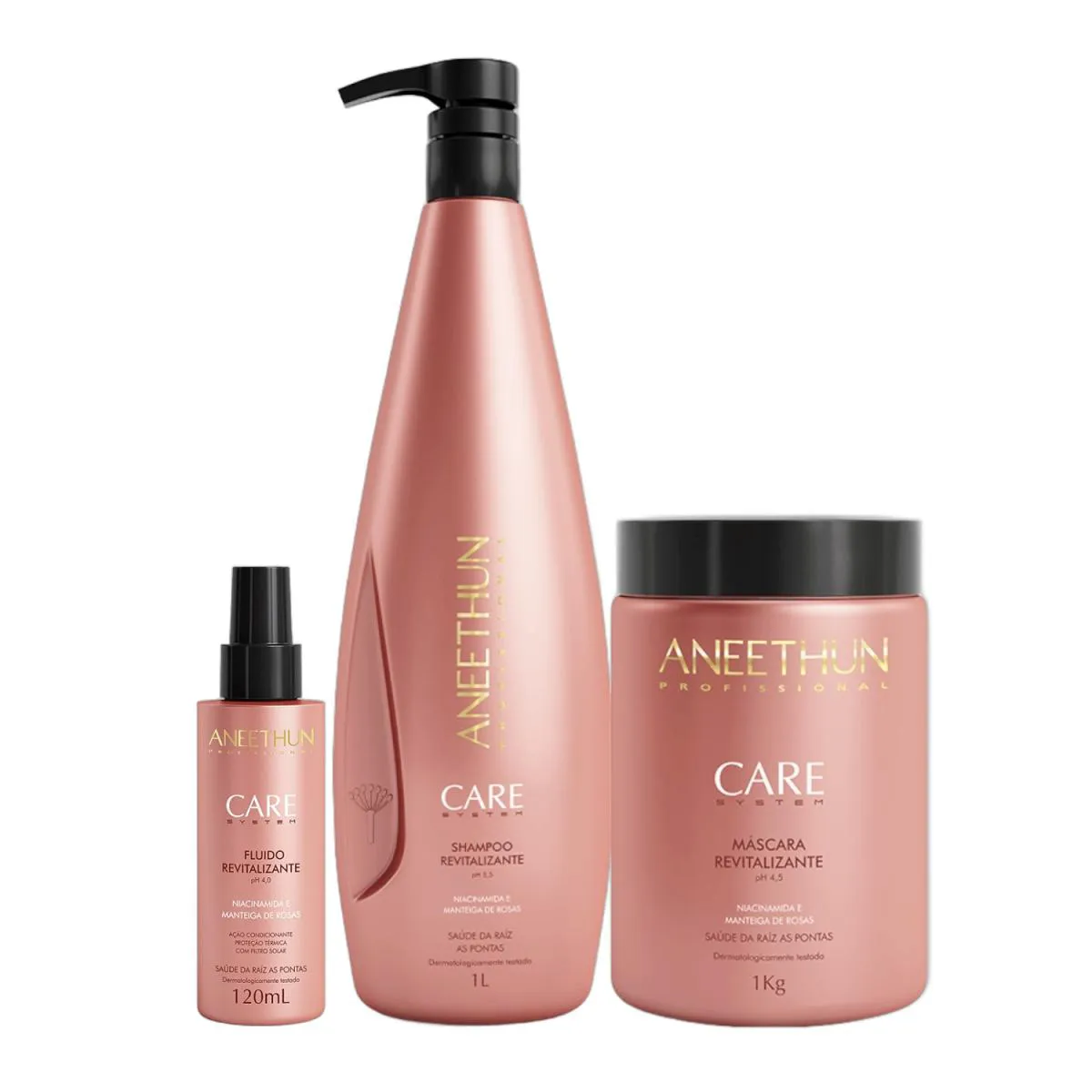 Kit Aneethun Care System Revitalizante - Shampoo 1L + Mascara 1L +