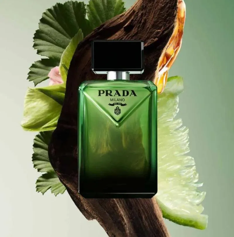 Prada Paradigme Eau de Parfum 50Ml 1449064 | Droga Raia