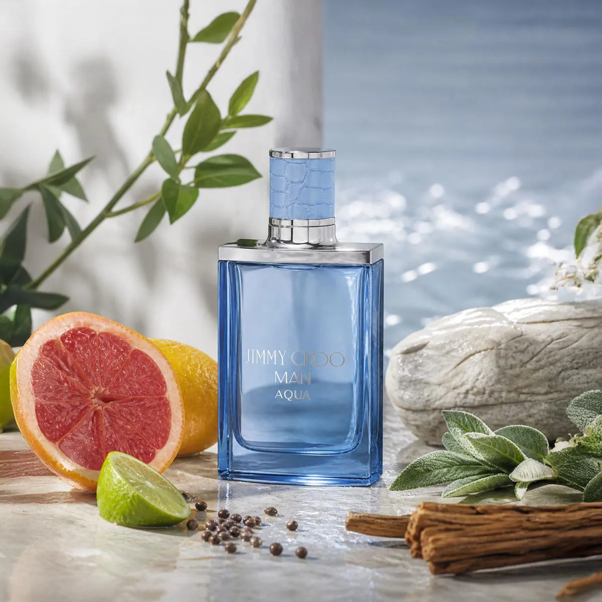 Jimmy Choo Man Aqua Eau de Toilette - Perfume Masculino 50Ml