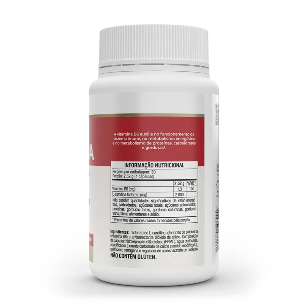 l-carnitina valor L-carnitina Vitafor L-Carnitina e Vitamina B6 120caps 1492242