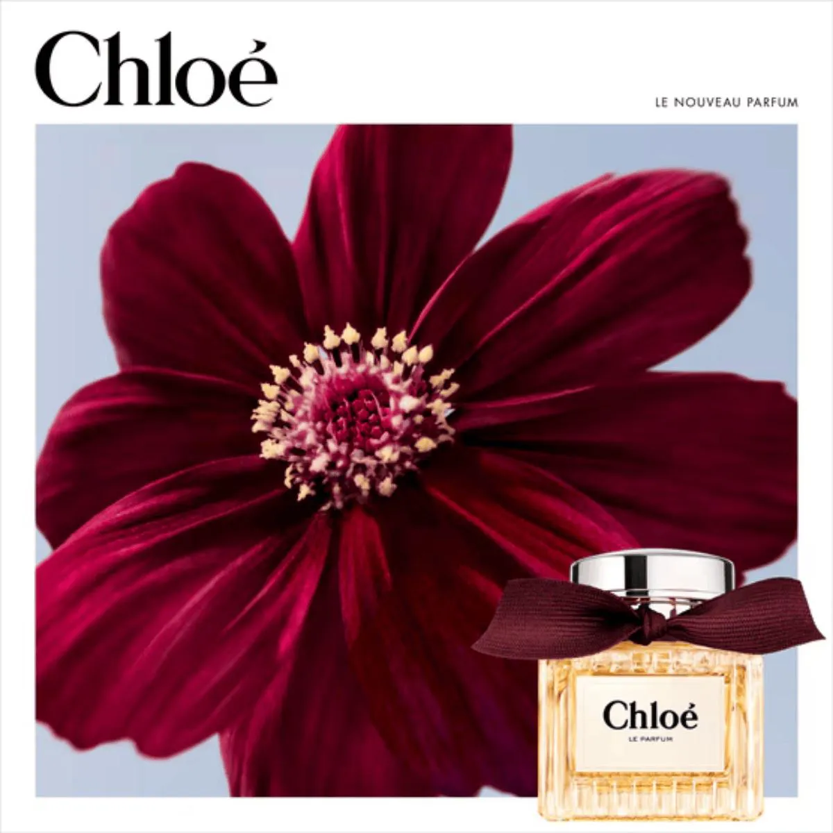 Chloe Le Parfum Perfume Feminino 30ml 1504092 | Drogasil