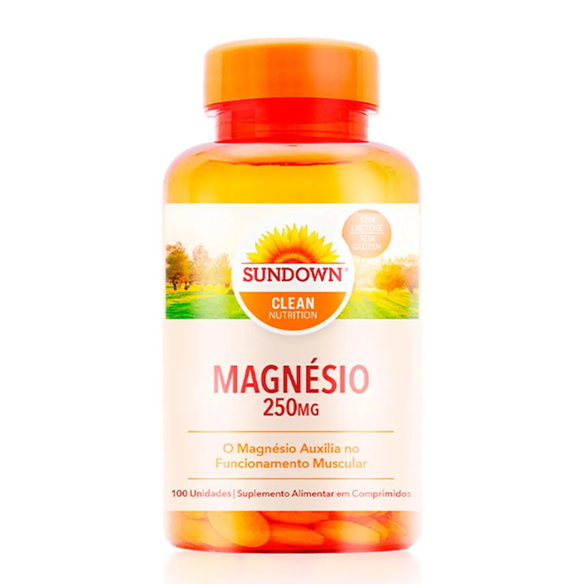 Magnésio 250mg Sundown Com 100 Comprimidos | Drogasil