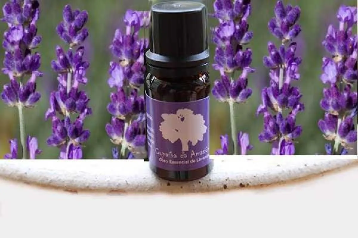 ÓLEO ESSENCIAL DE LAVANDA 10 ML