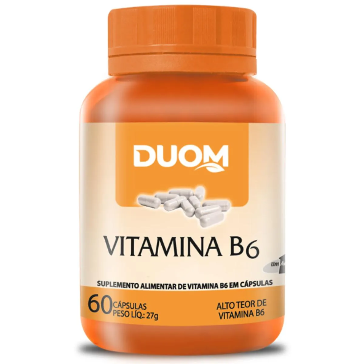 VITAMINA B6 ALTO TEOR PIRIDOXINA APENAS 1 AO DIA 60CAPS DUOM