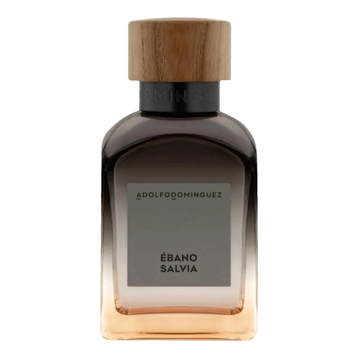 Ébano Salvia Aldofo Dominguez Eau de Toilette 120ml - Perfume Masculino
