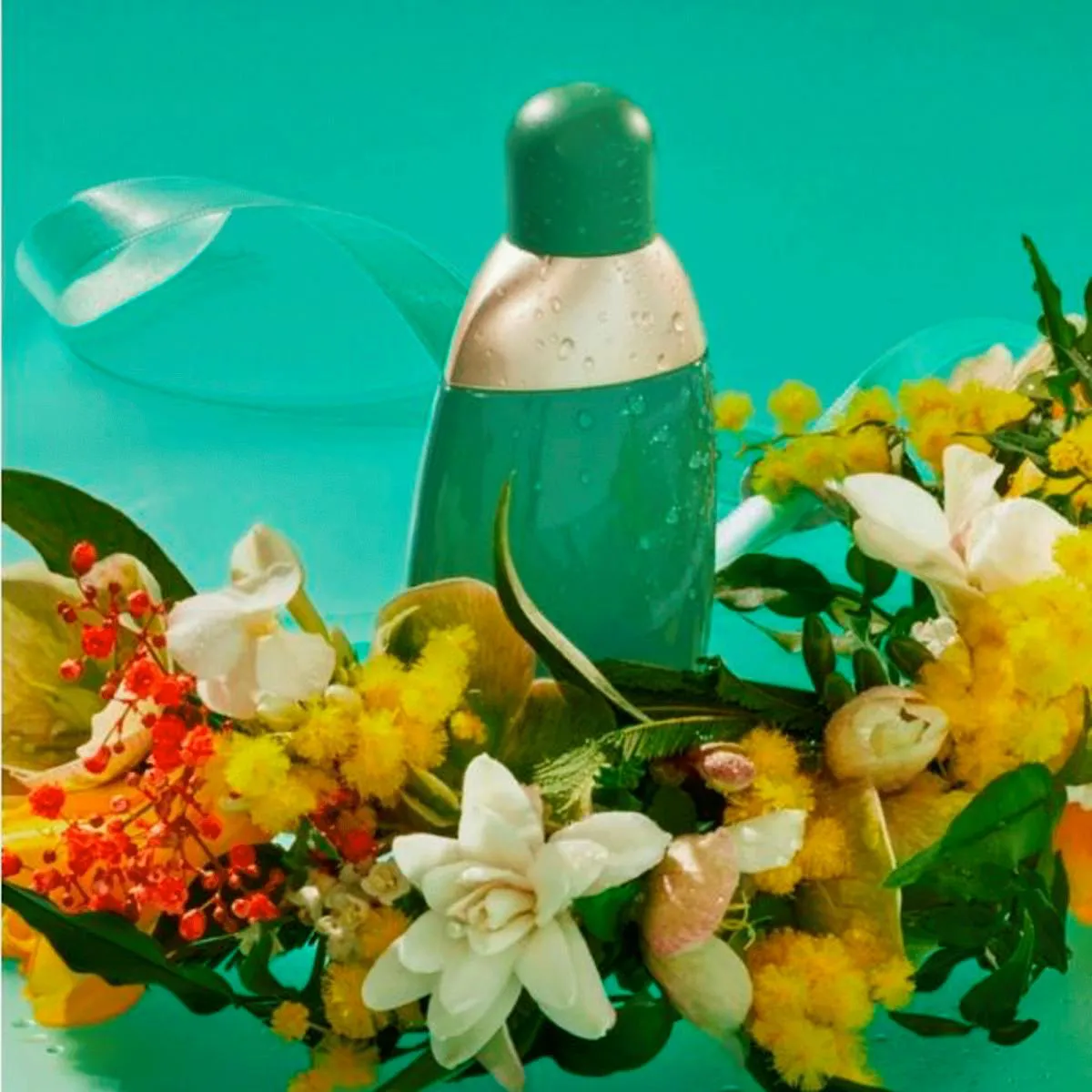Eden Cacharel Eau de Parfum - Perfume Feminino 30ml