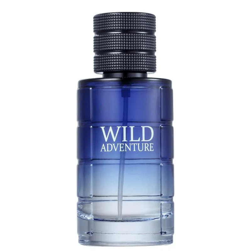 Brazil product data sample: WILD ADVENTURE LINN YOUNG COSCENTRA EAU DE TOILETTE 100ML