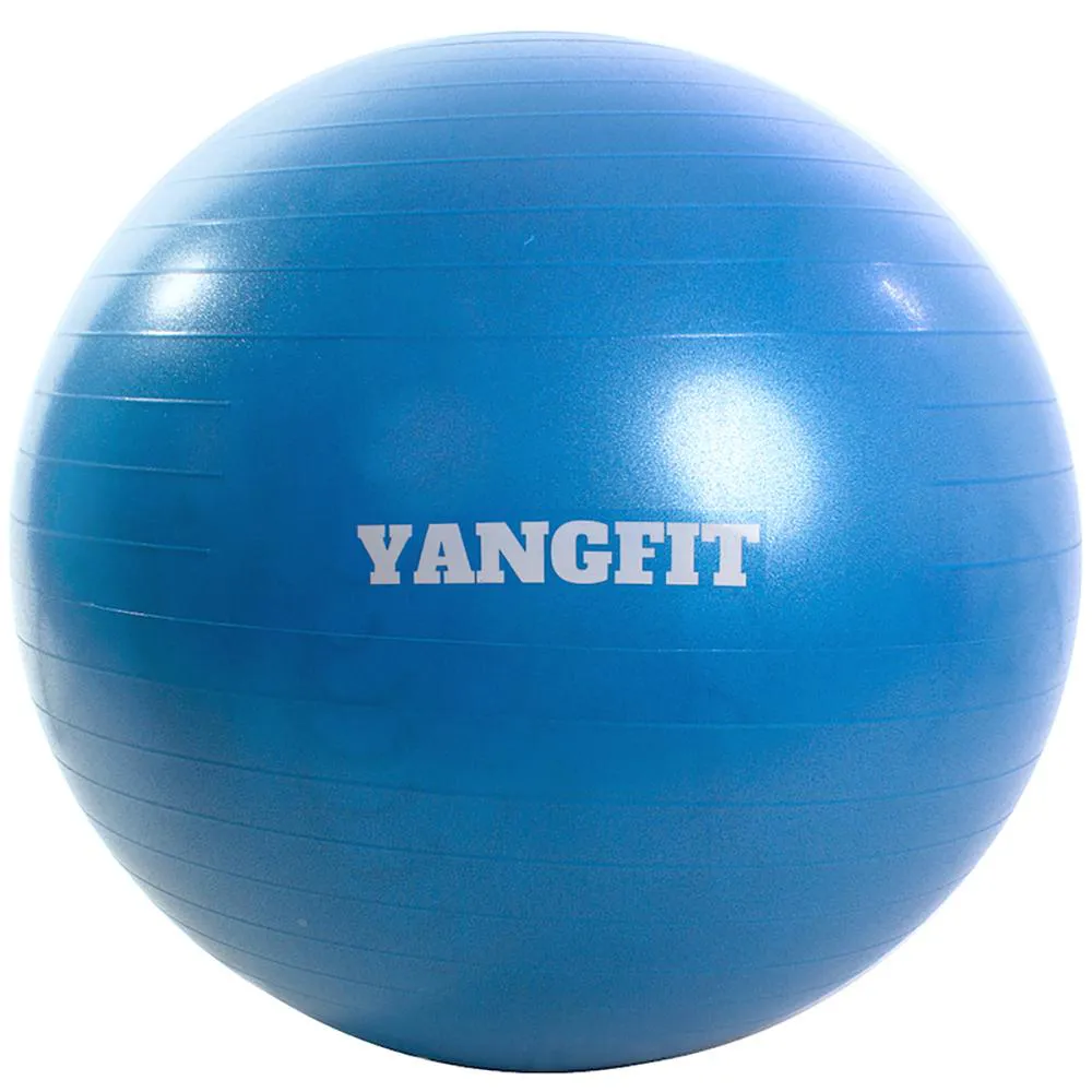 BOLA PILATES SUíçA EXERCíCIOS YOGA 65CM COM BOMBA YANGFIT Azul