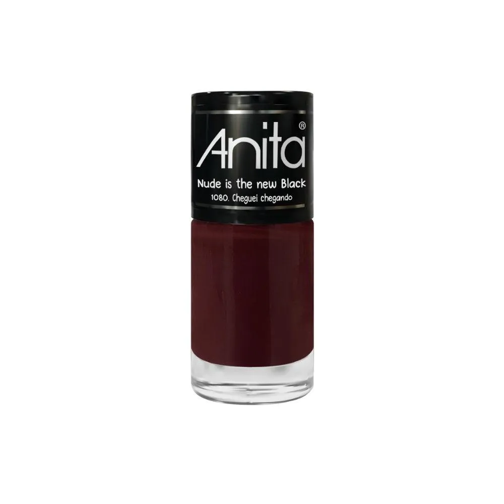 ESMALTE ANITA NUDE IS THE NEW BLACK CHEGUEI CHEGANDO