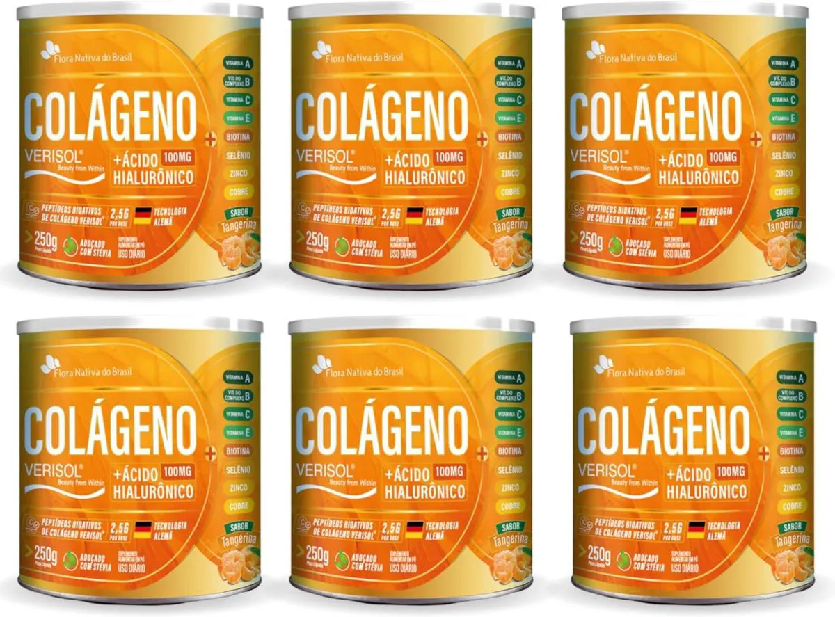 6X COLáGENO VERISOL + ACIDO HIALURONICO 250 GR SABOR TANGERINA FLOR NATIVA