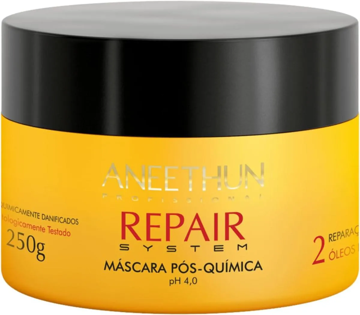 ANEETHUN - REPAIR SYSTEM - MASCARA POS QUIMICA REPARAÇAO LIPIDICA 250G